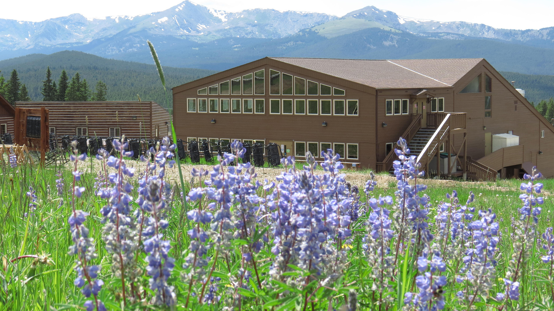 Lodge with flowers