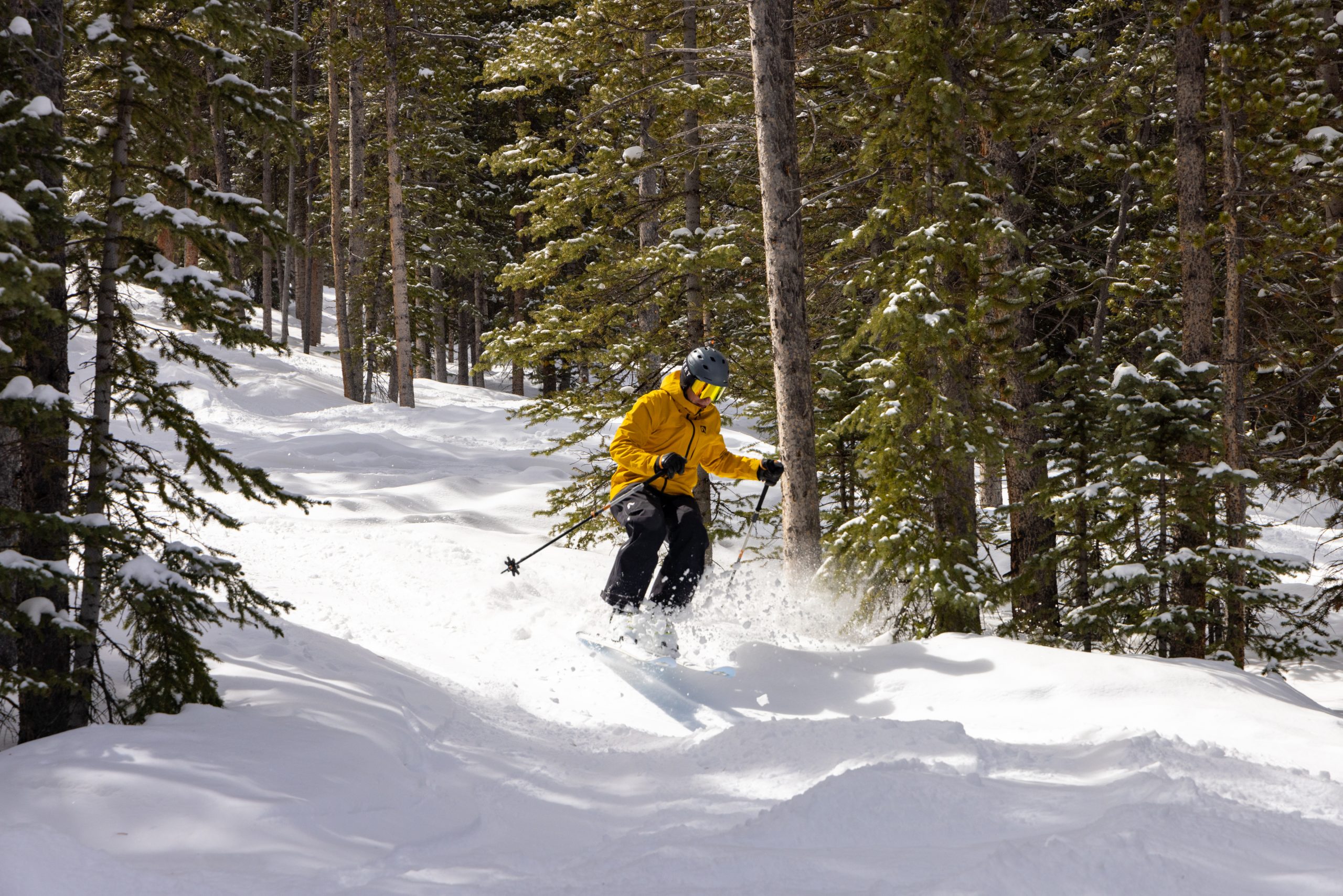 skier