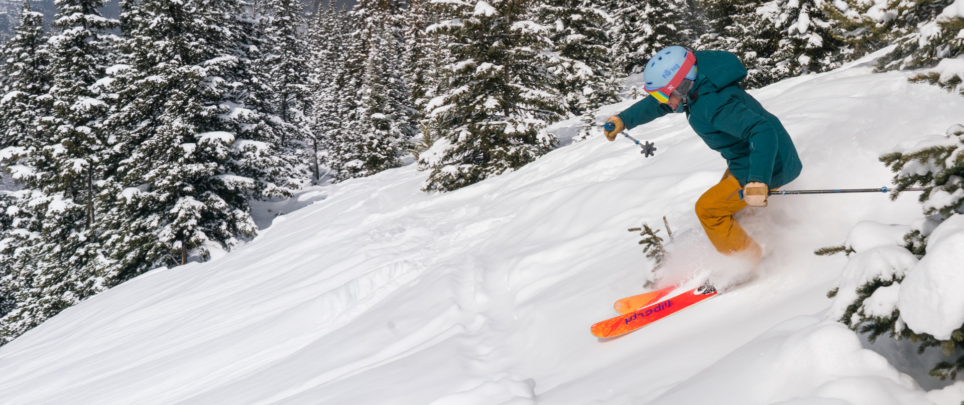 Skier